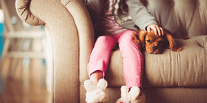 Leaving Assets to Their Pets, Cortes law firm oklahoma city estate planning attorney, Cortes Law Firm Oklahoma City Probate attorney, Revocable Living Trust, Estate PLanning