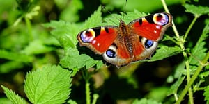 Estate planning must morph, Cortes law firm oklahoma city estate planning attorney, cortes law firm oklahoma probate attorney, revocable living trust, last will, power of attorney