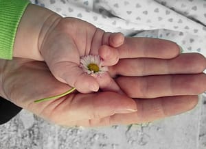 probate, estate planning attorney, Cortes Law Firm, revocable living trust, Will